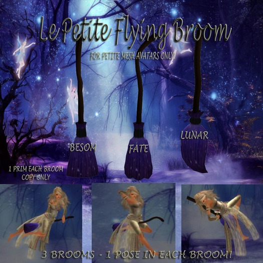 Le Petite Riding Broom - BLUE  for PETITE AVATARS