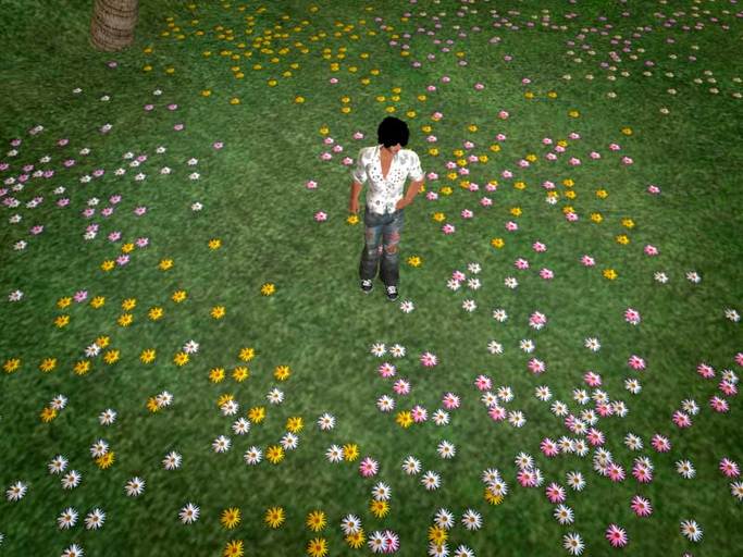 Flowers Ground Cover - Flowers to cover your land