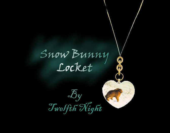 Snow Bunny Heart Locket