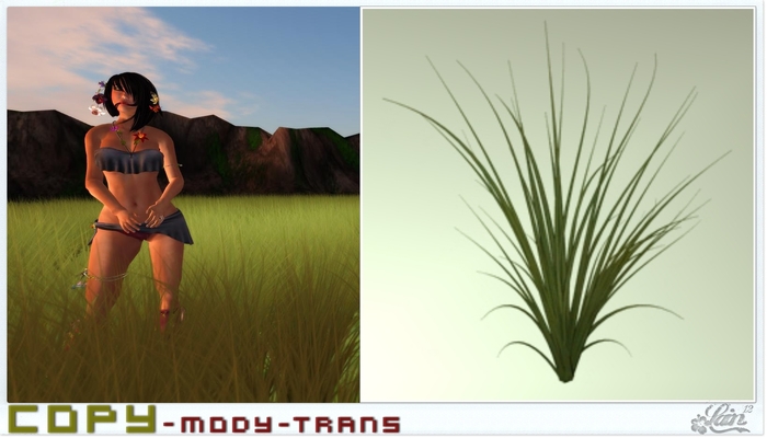 ::::**Gras**:::: "Garden" -LE-