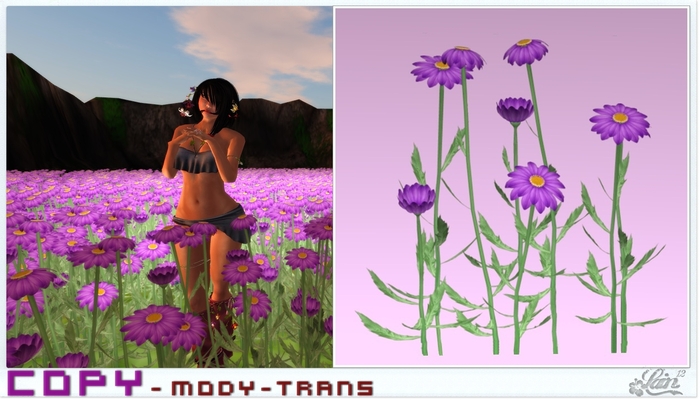 ::::**Purple-Spring-Flowers**:::: "Garden" -LE-