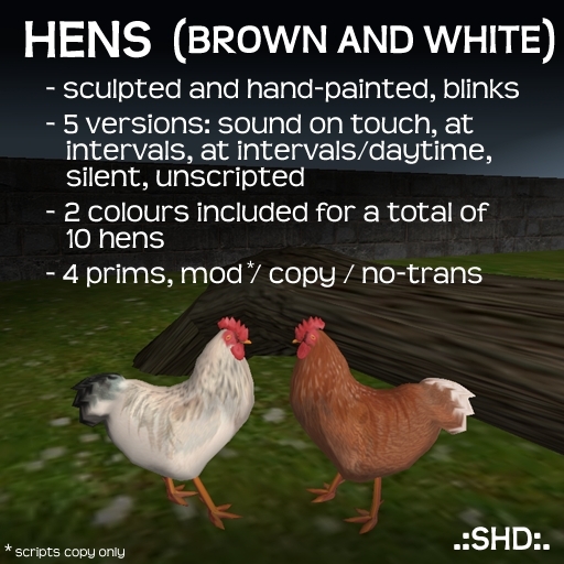 Hens / Chickens (brown and white) .:SHD:.