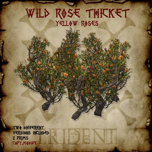 Wild Rose Thicket [Yellow] 