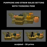 pumpkins and straw bales setting with thinking pose