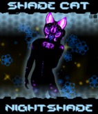 KZM Shade Cat: Nightshade