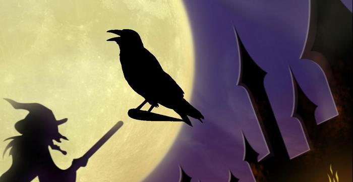 Crow full perms texture ( alpha)