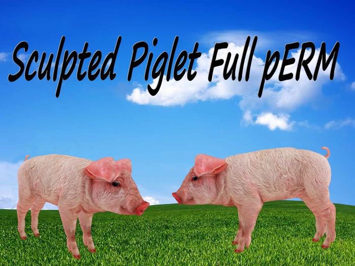 Sculpted Piglet Full pERM