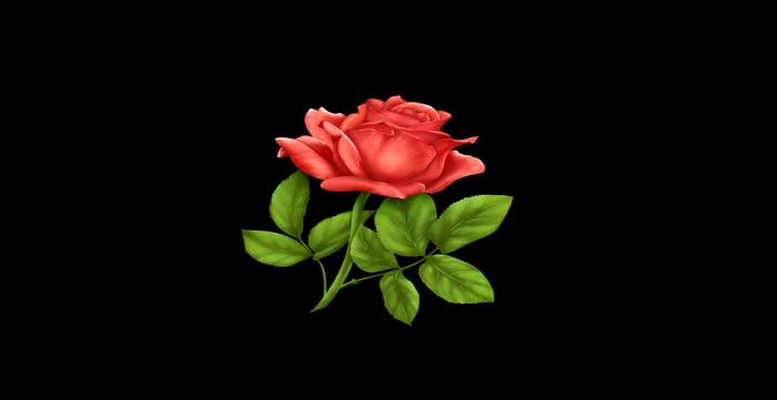 MW single red rose texture Full perms