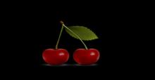 Cherry alpha texture full perms
