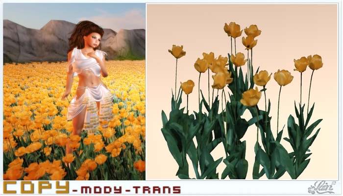 ::::**Yellow-Tulips**:::: "Garden" -LE-