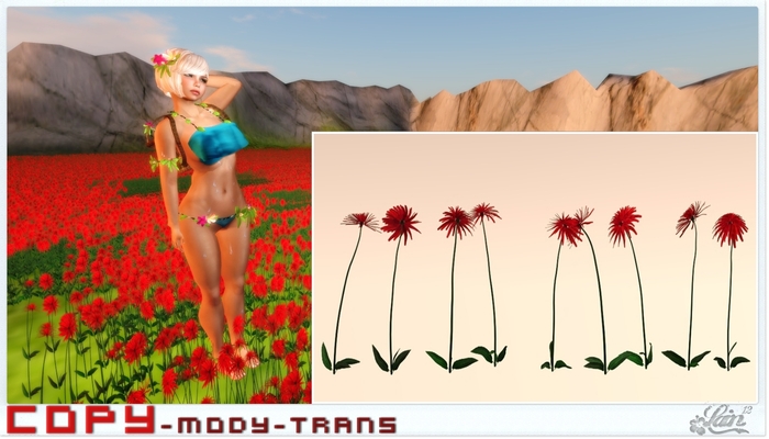 ::::**Crisantemos-RED **:::: "Garden" -LE-