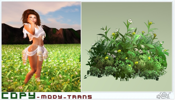 ::::**Plant-Bush-3**:::: "Garden" -LE-