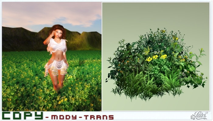 ::::**Plant-Bush-2**:::: "Garden" -LE-