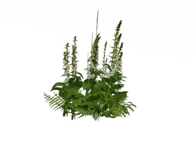 Flower Fox Gloves White Mesh