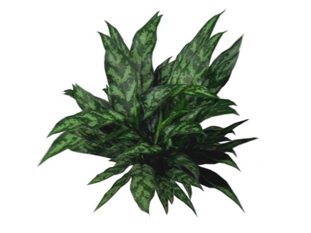 House plant 01 Mesh