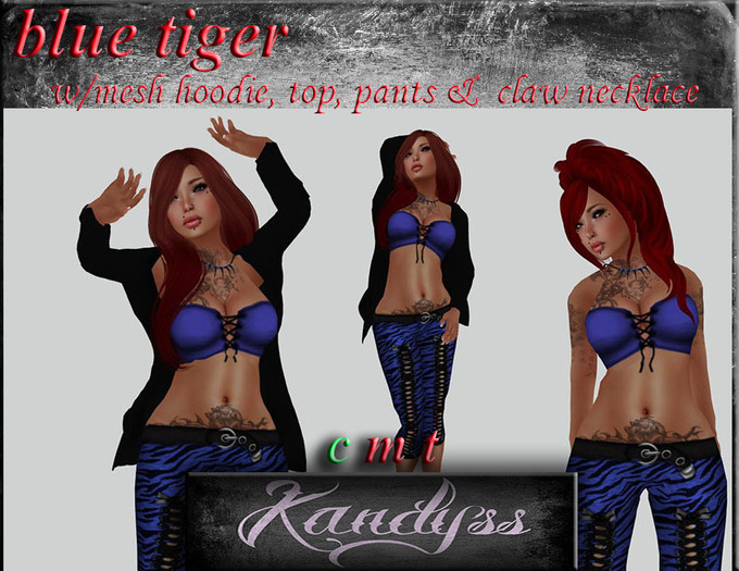 KANDYSS blue tiger