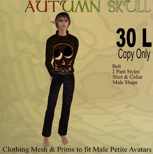 *Pooka's* male autumn Skull outfit
