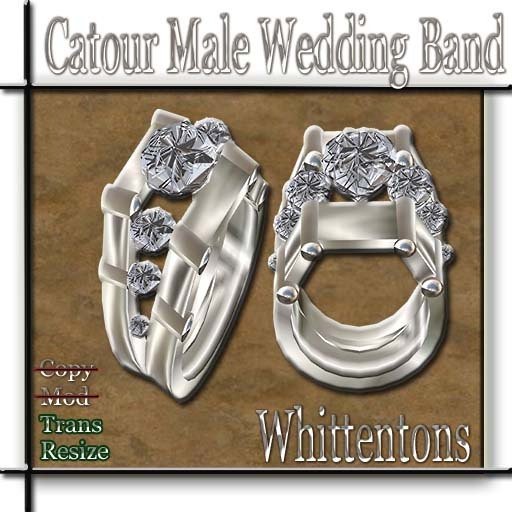 -W- CATOUR MALE WEDDING BAND