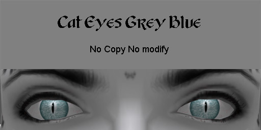 Eyes Cats - Grey Blue
