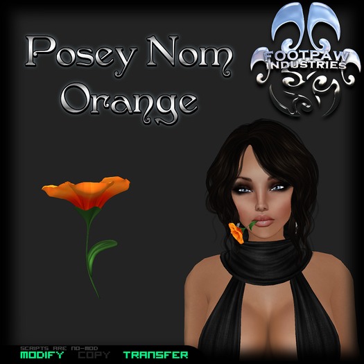 [FPI] Posey Nom Orange