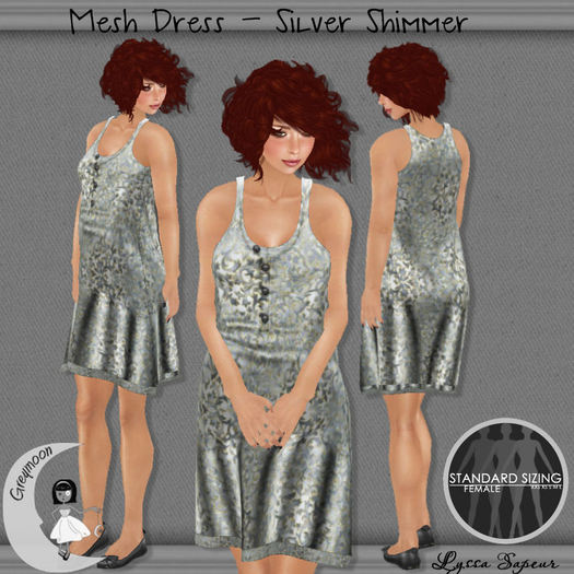 Greymoon_Mesh Dress_Silver Shimmer