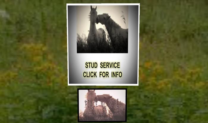 STUD BOARD SYSTEM COPY VERSION