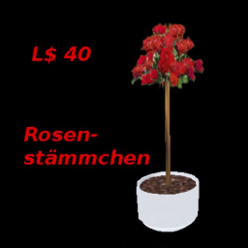 Karton Rosenstaemmchen rot
