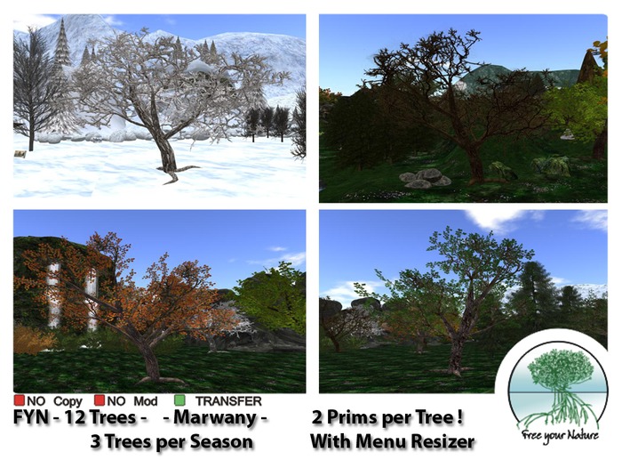 FYN - 12 Trees  - Marwany