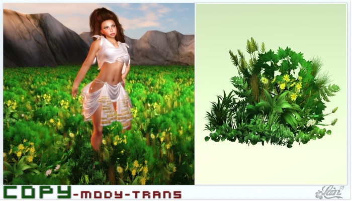 ::::**Plant-Bush-10**:::: "Garden" -LE-