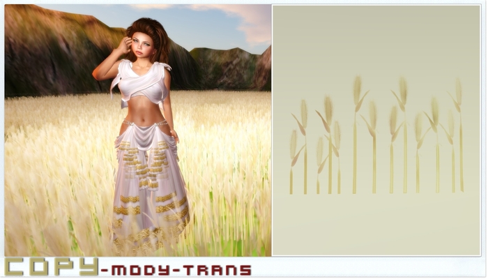 ::::**Fairy-Wheat**:::: "Garden" -LE-