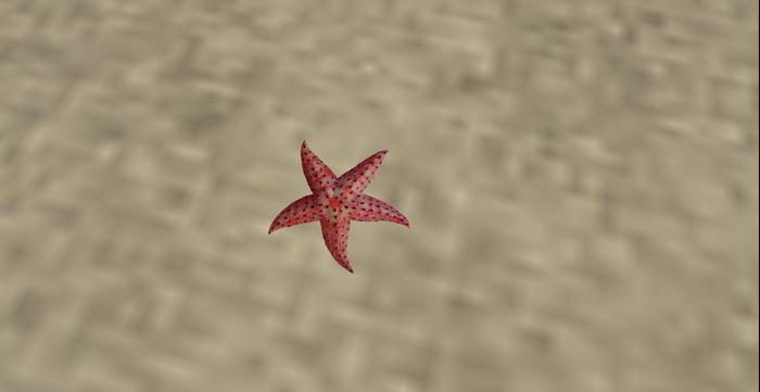 Star Fish Fast Motion Second Life Marketplace - MW Moving animated Star fish
