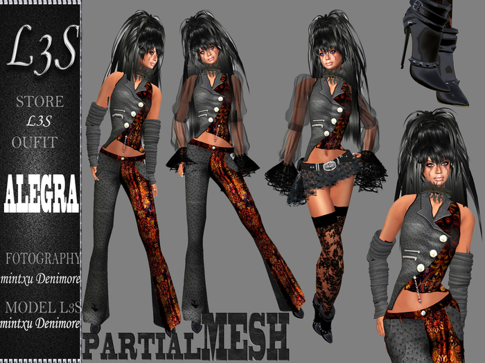 [ L3S ] ALEGRA
