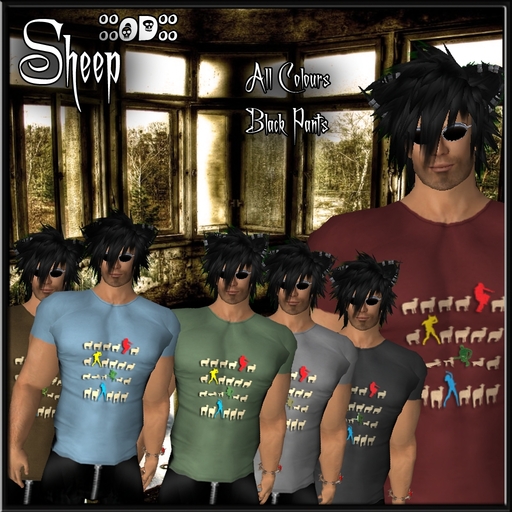 Tshirt-sheep
