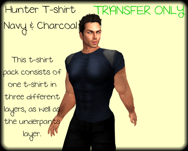 ~TB~ Mens Hunter T-shirt -  Blue & Grey