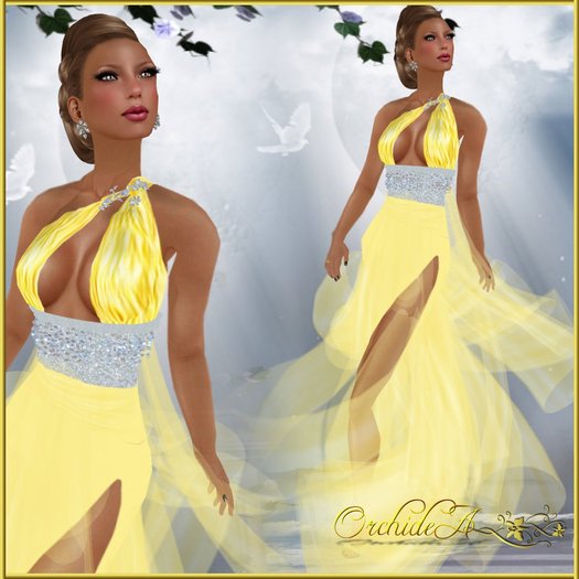 ** Orchidea**  Amour  yellow