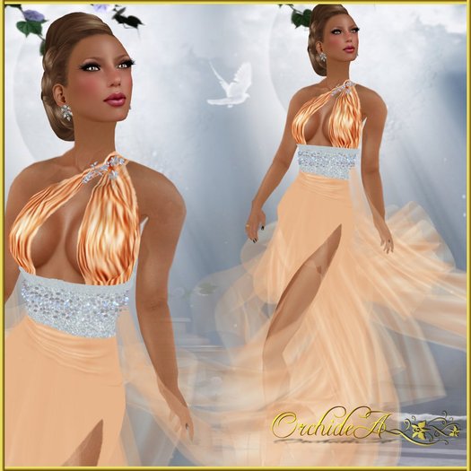 ** Orchidea** amour salmon