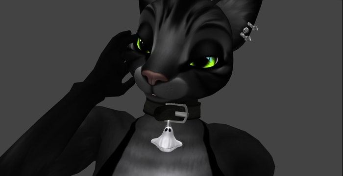 Black halloween collars