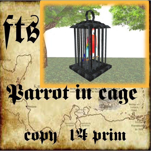 Parrot in cage