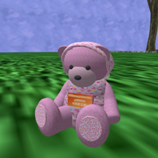 Personal bear2 boxed
