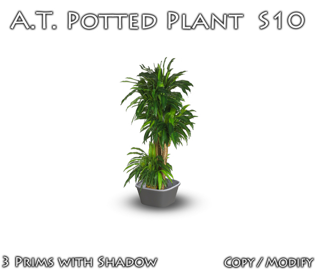 A.T. Potted Plant S10