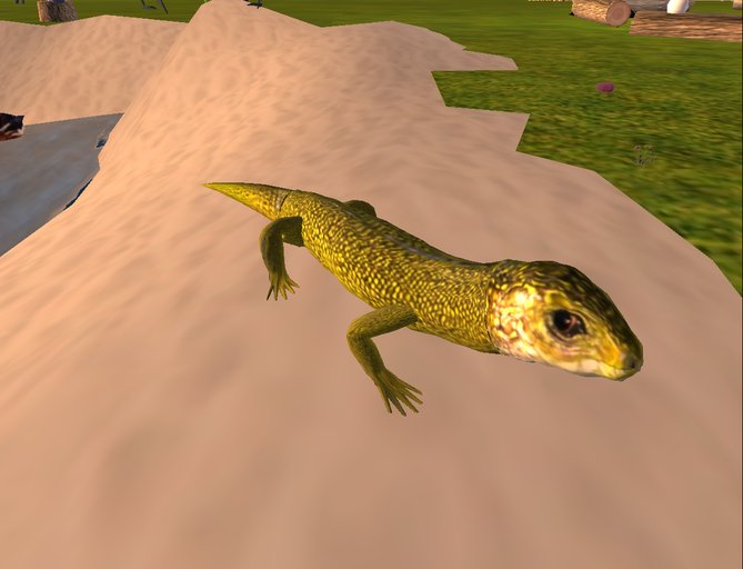 European green lizard