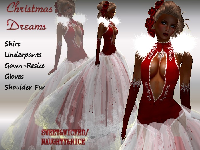 (N&N)CHRISTMAS DREAMS