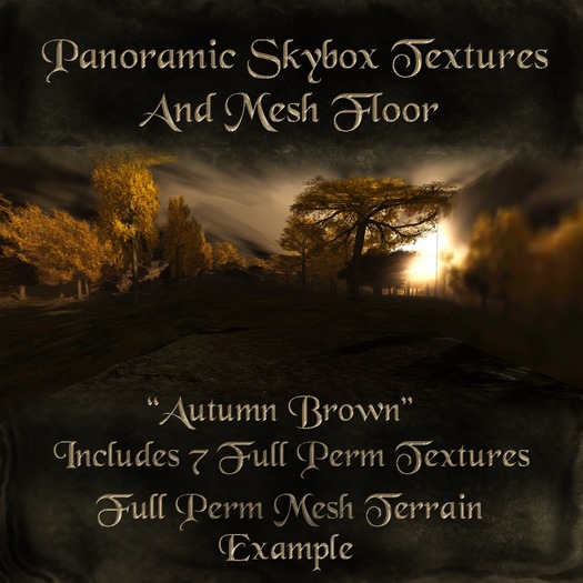 BKT Autumn Brown Skybox