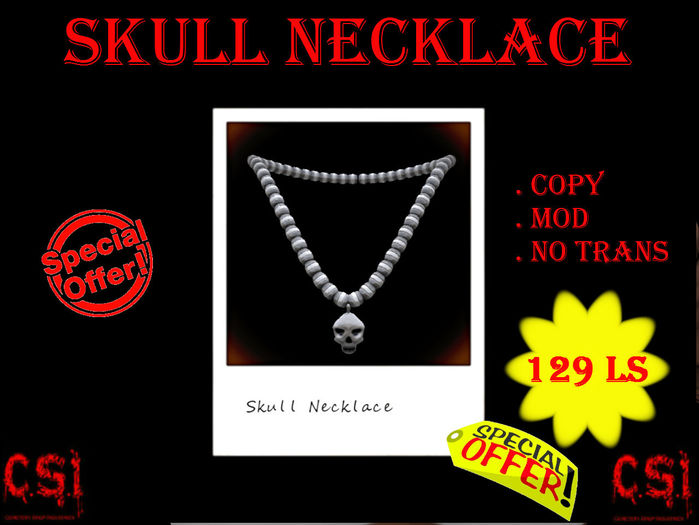 Skull Necklace (box)
