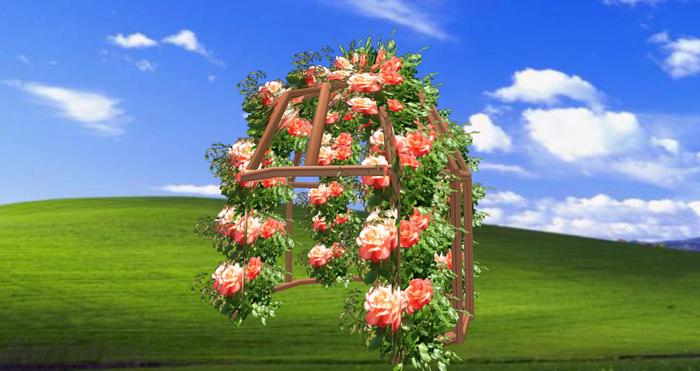pergola 3 rose saumon