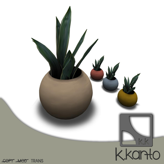 k.kanto - Potted Plant 1