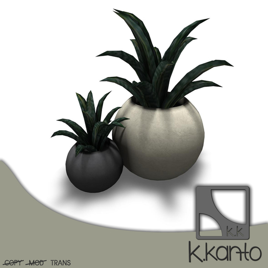 k.kanto - Potted Plant 2