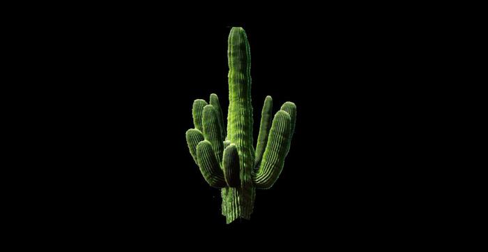 Large desert cactus 1 prim sculpty copy mod