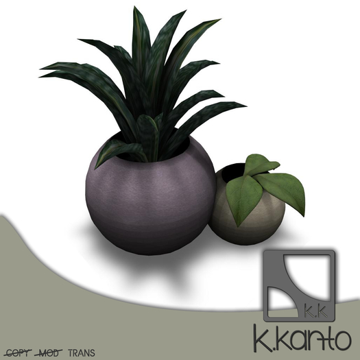 k.kanto - Potted Plant 3