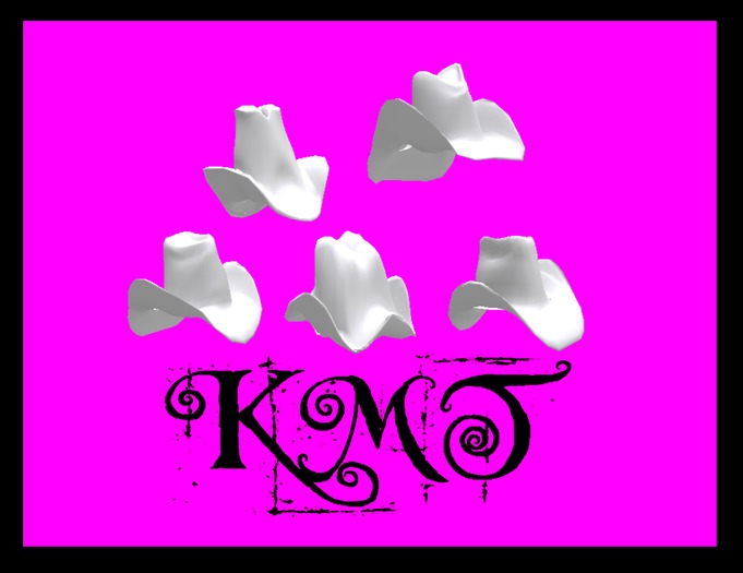 .:::K,M,T:::.Sculptz Cowboy Hats Set Full Perms 